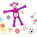 6.webp