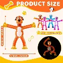 8.webp