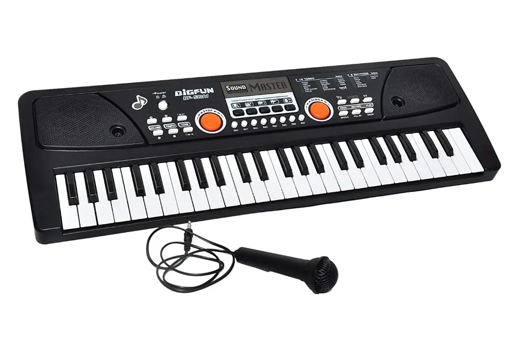 Bigfun49 Key Piano (BF530-A1)